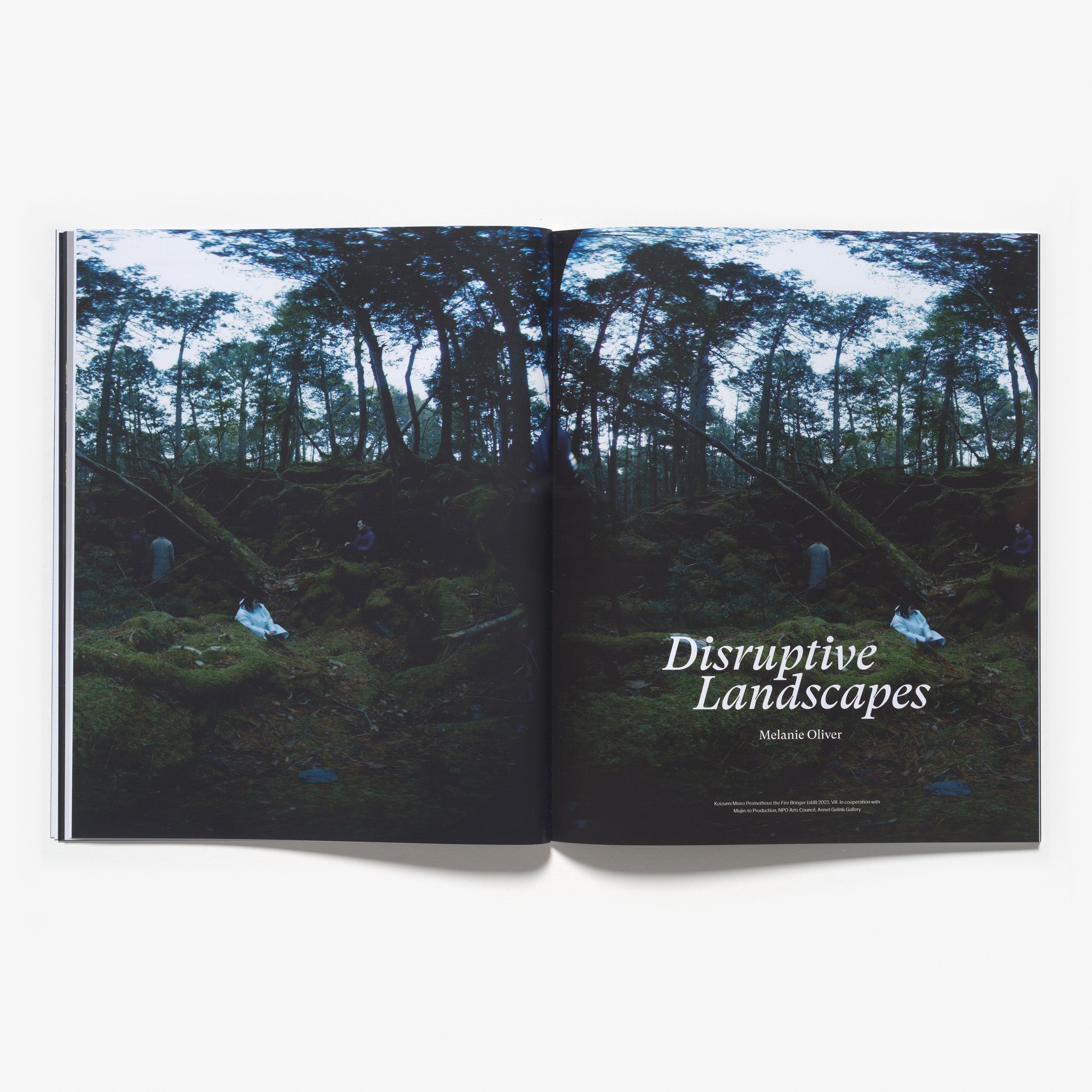 B.219 Bulletin Autumn 2025