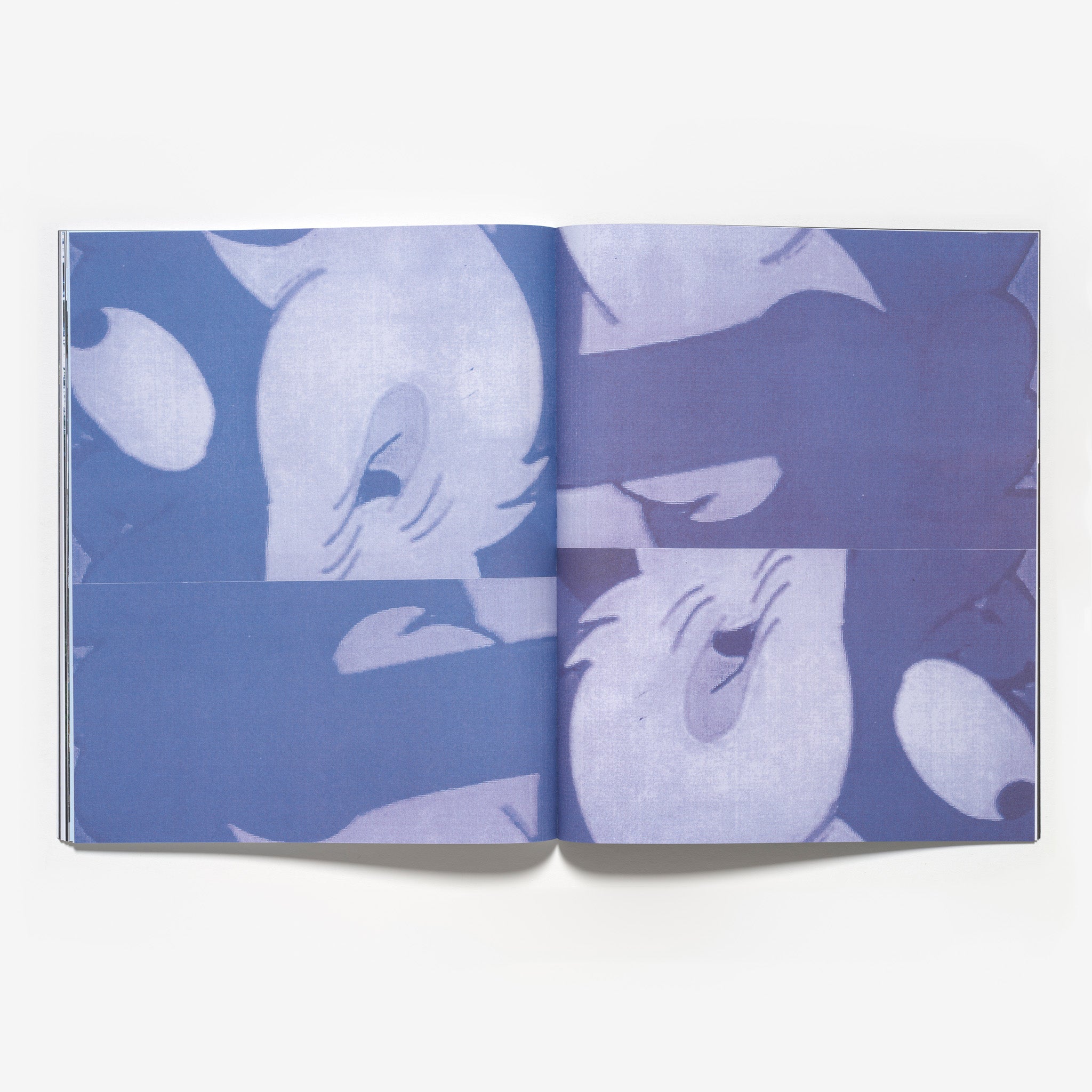 B.219 Bulletin Autumn 2025