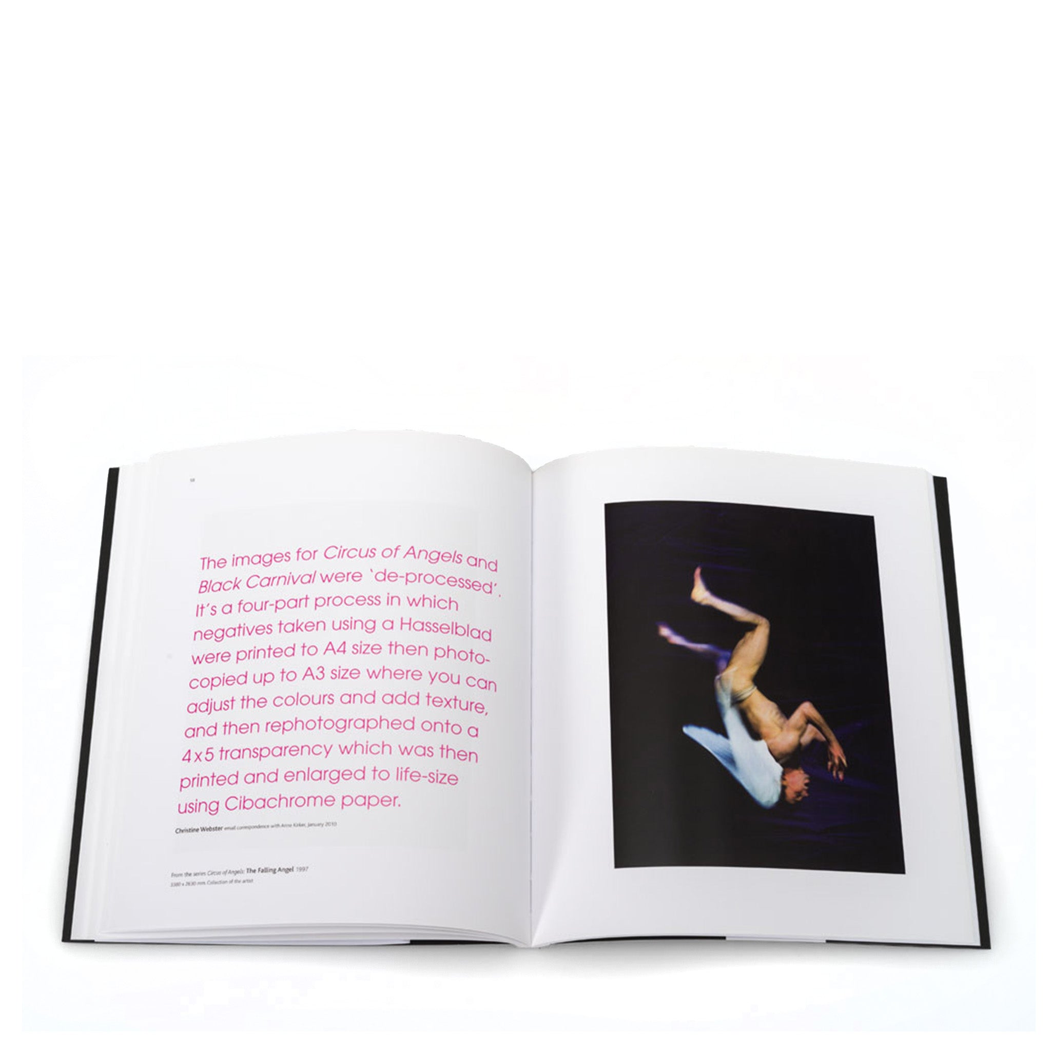 Provocations: The Work of Christine Webster