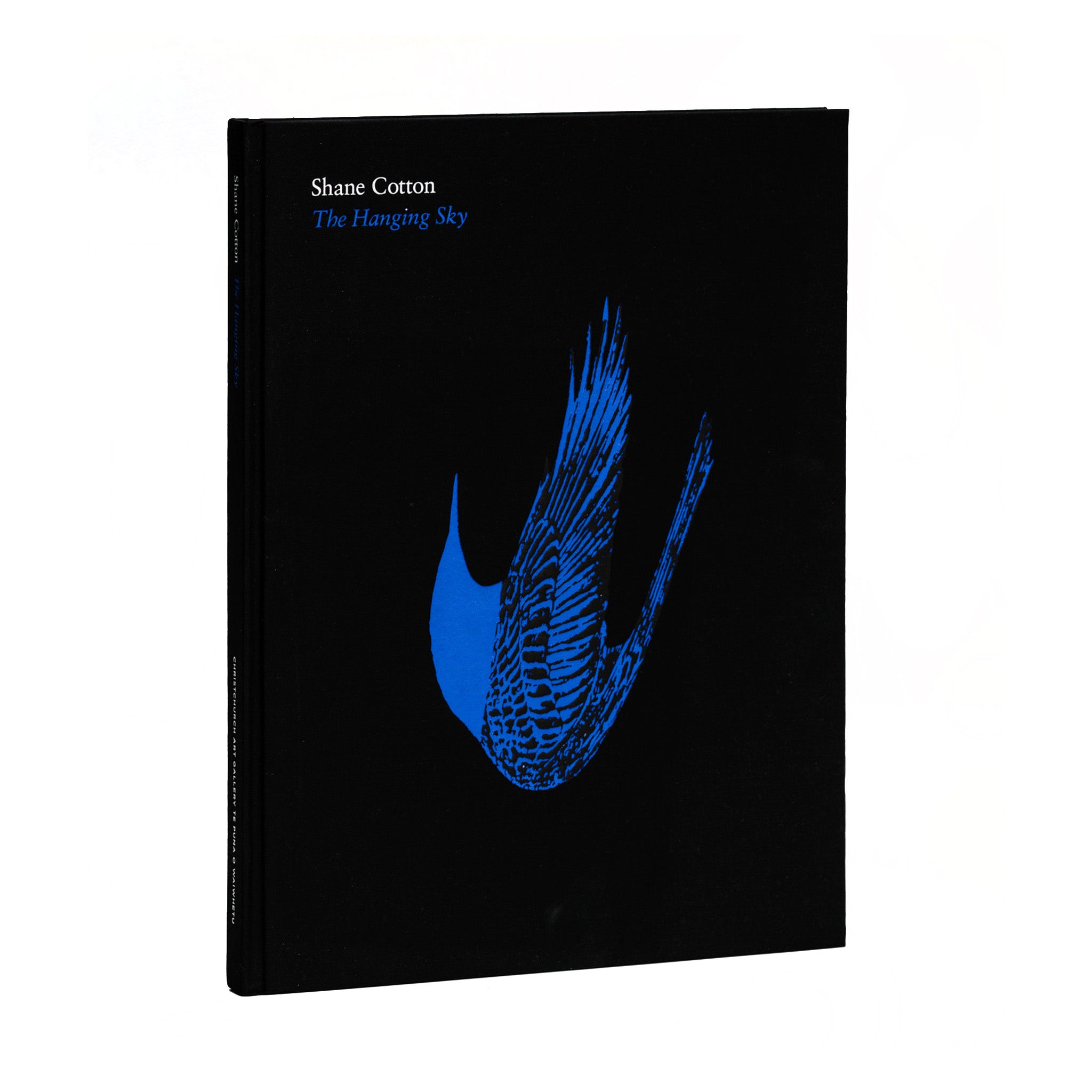 Shane Cotton: The Hanging Sky