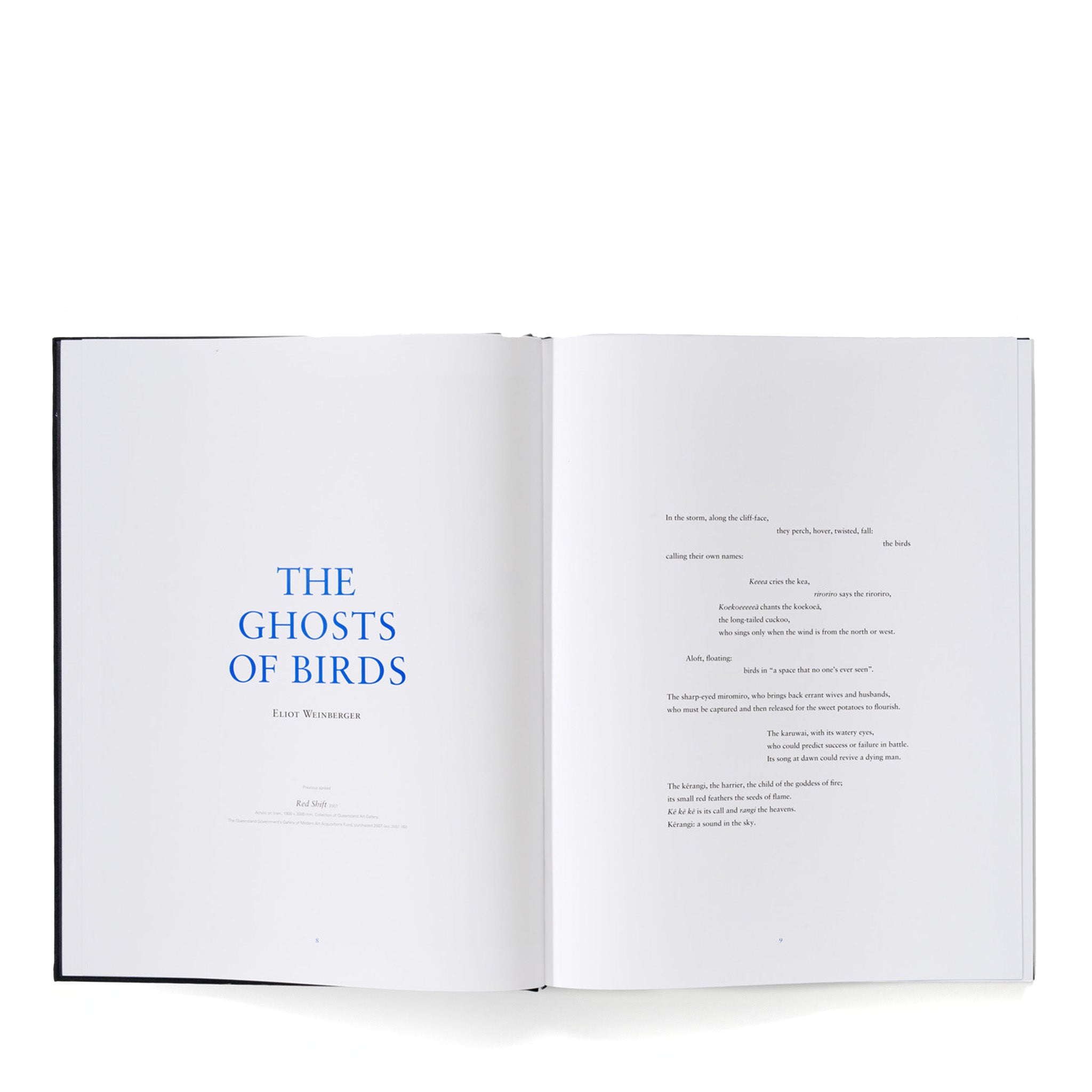 Shane Cotton: The Hanging Sky