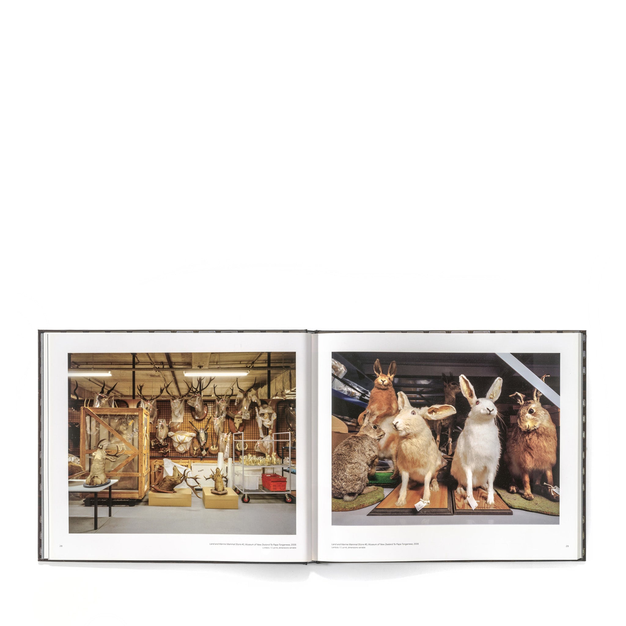 The Vault: Neil Pardington