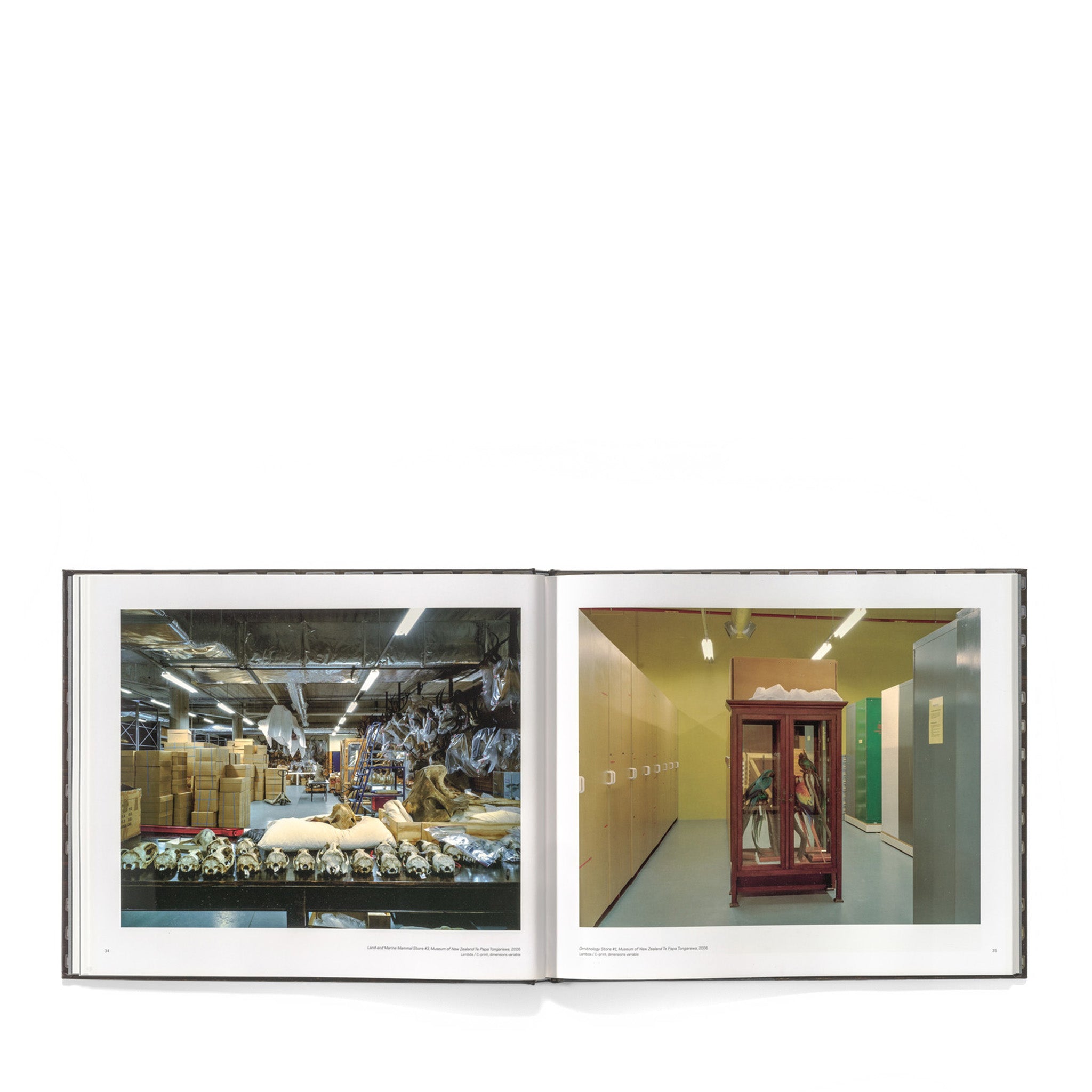 The Vault: Neil Pardington