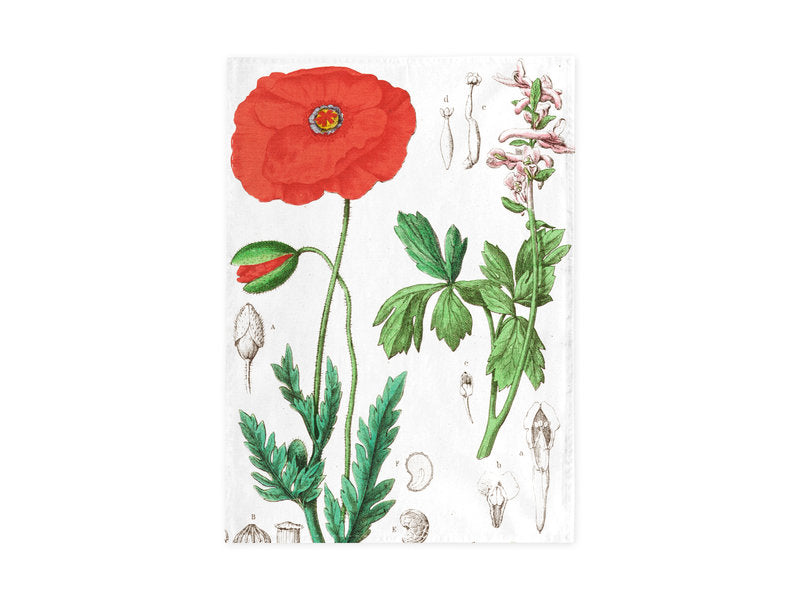 Poppy Tea Towel - Hortus Botanicus Leiden