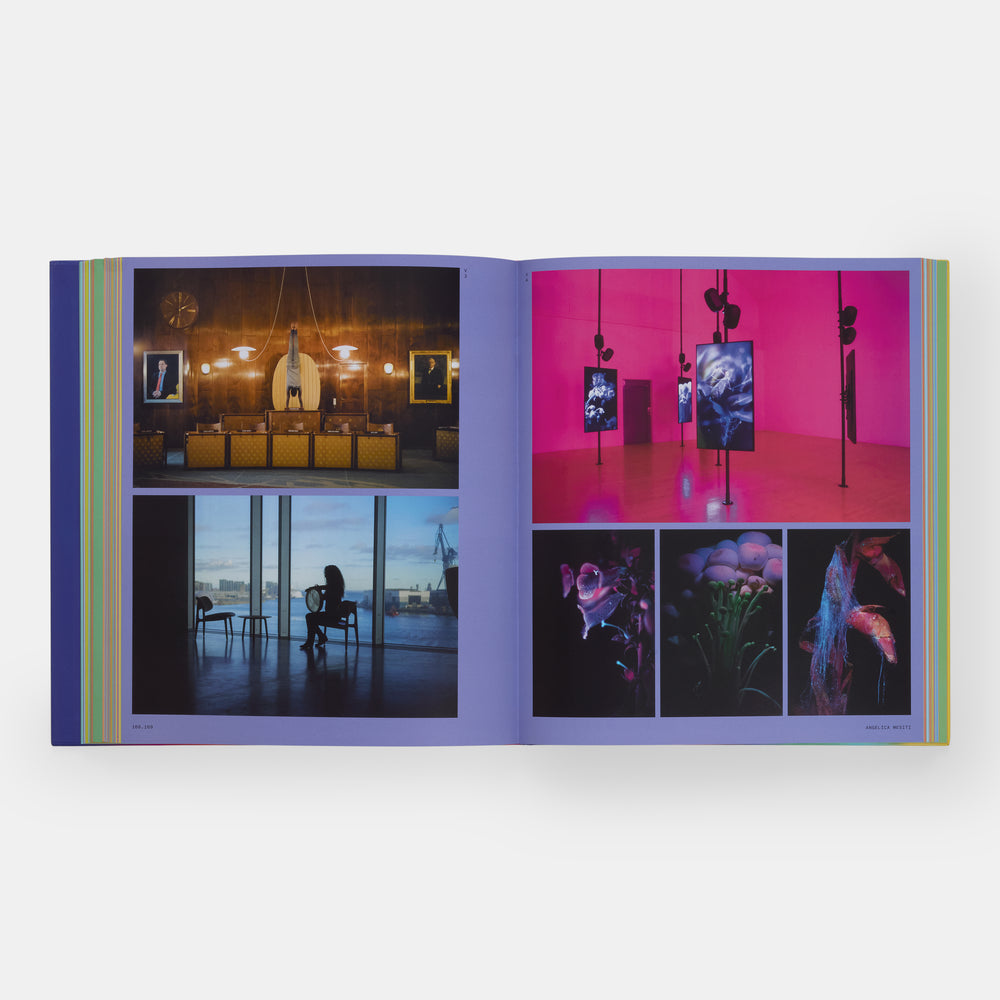 Vitamin V: Video in Contemporary Art