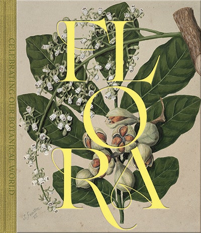 Flora: Celebrating Our Botanical World