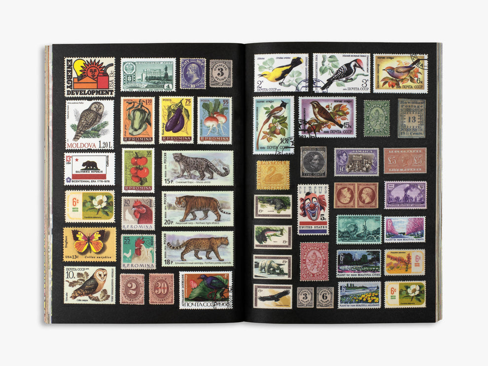 Curious Collections Sticker Book
