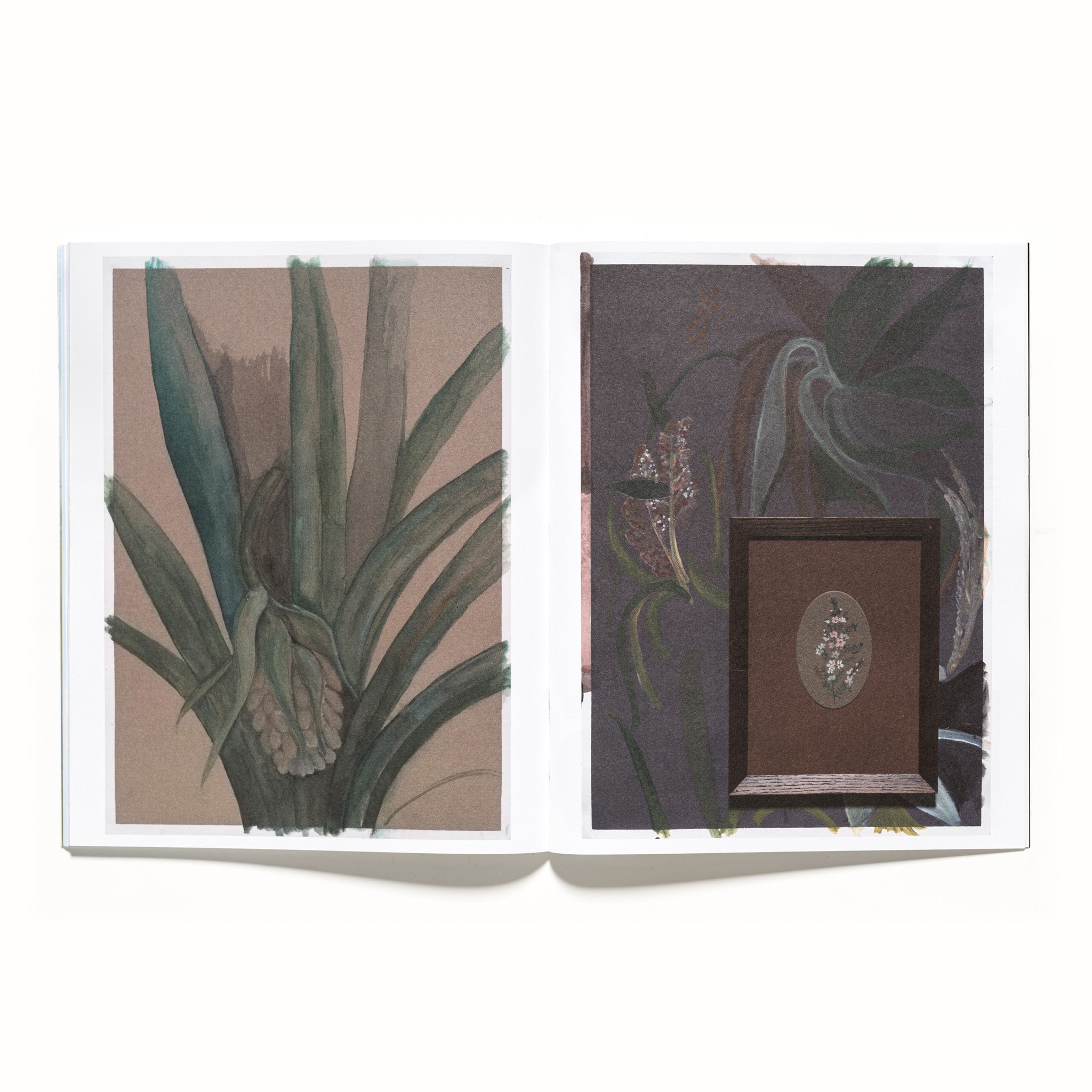 B.222 Bulletin Summer 2024/5