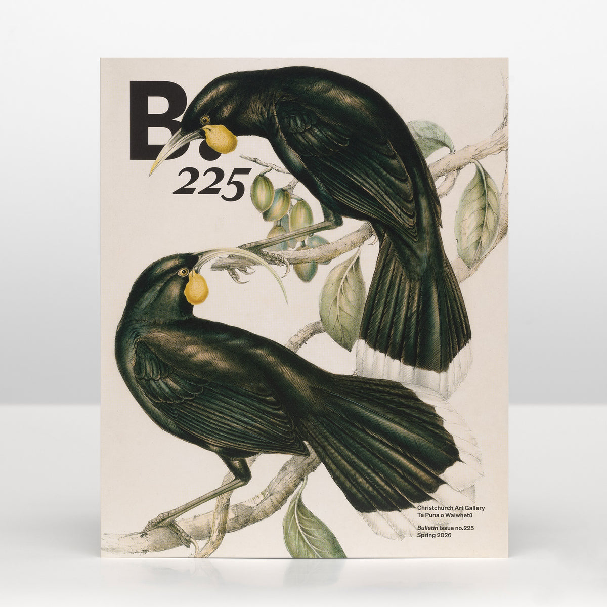 B.225 Bulletin Spring 2026