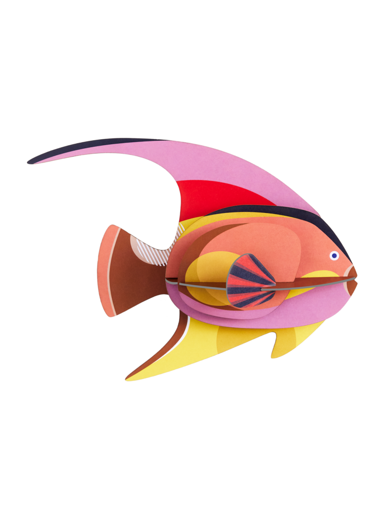 Blackcap Fish Wall Art