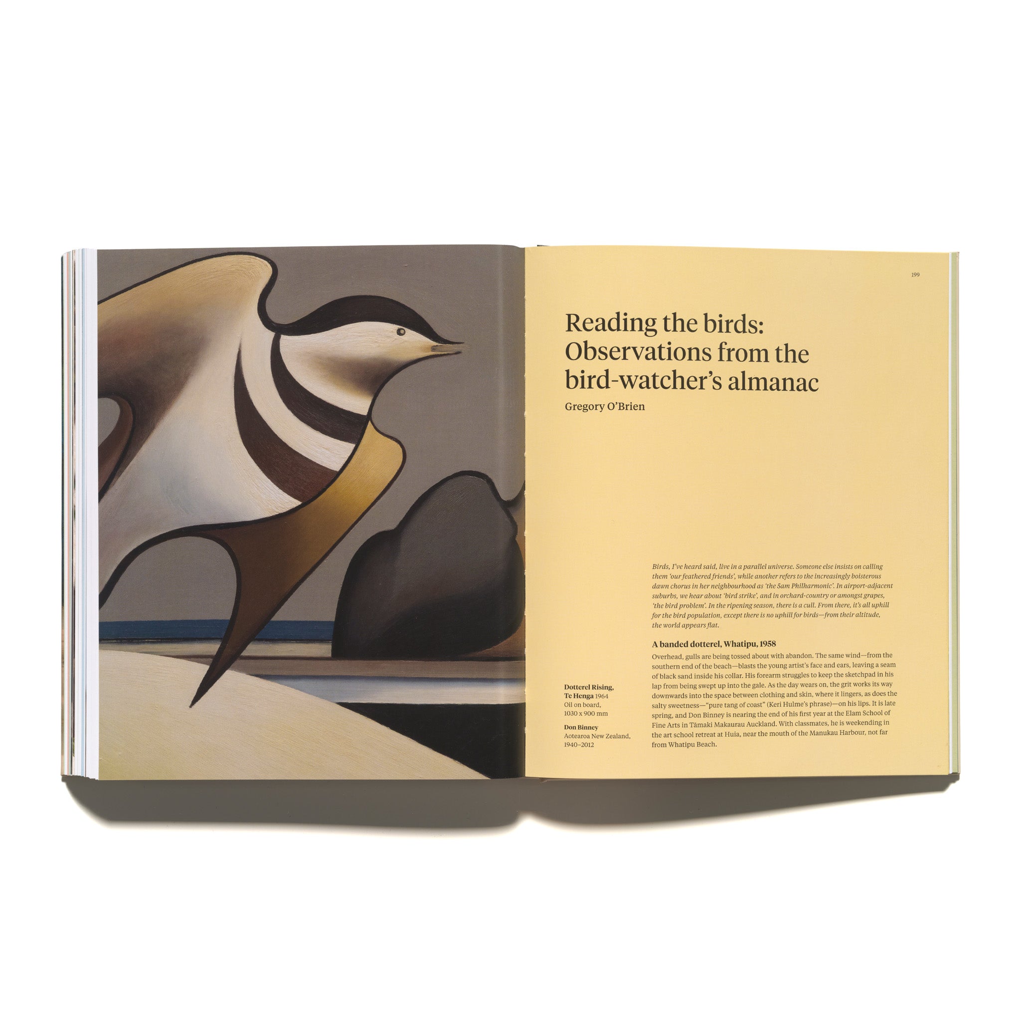 Bird Land: Te Kāhui Manu