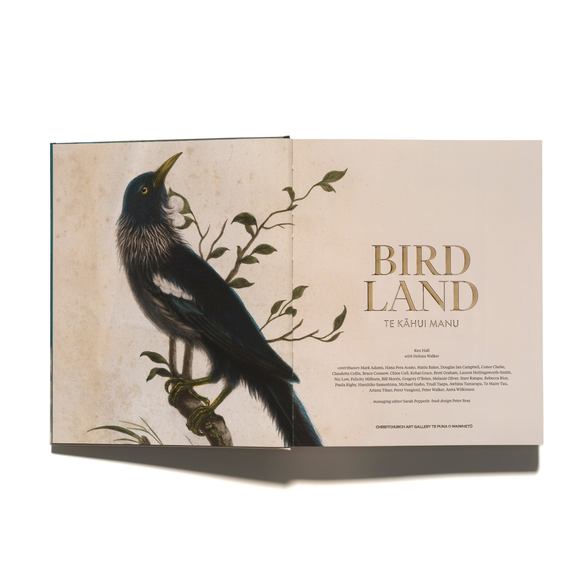 Bird Land: Te Kāhui Manu