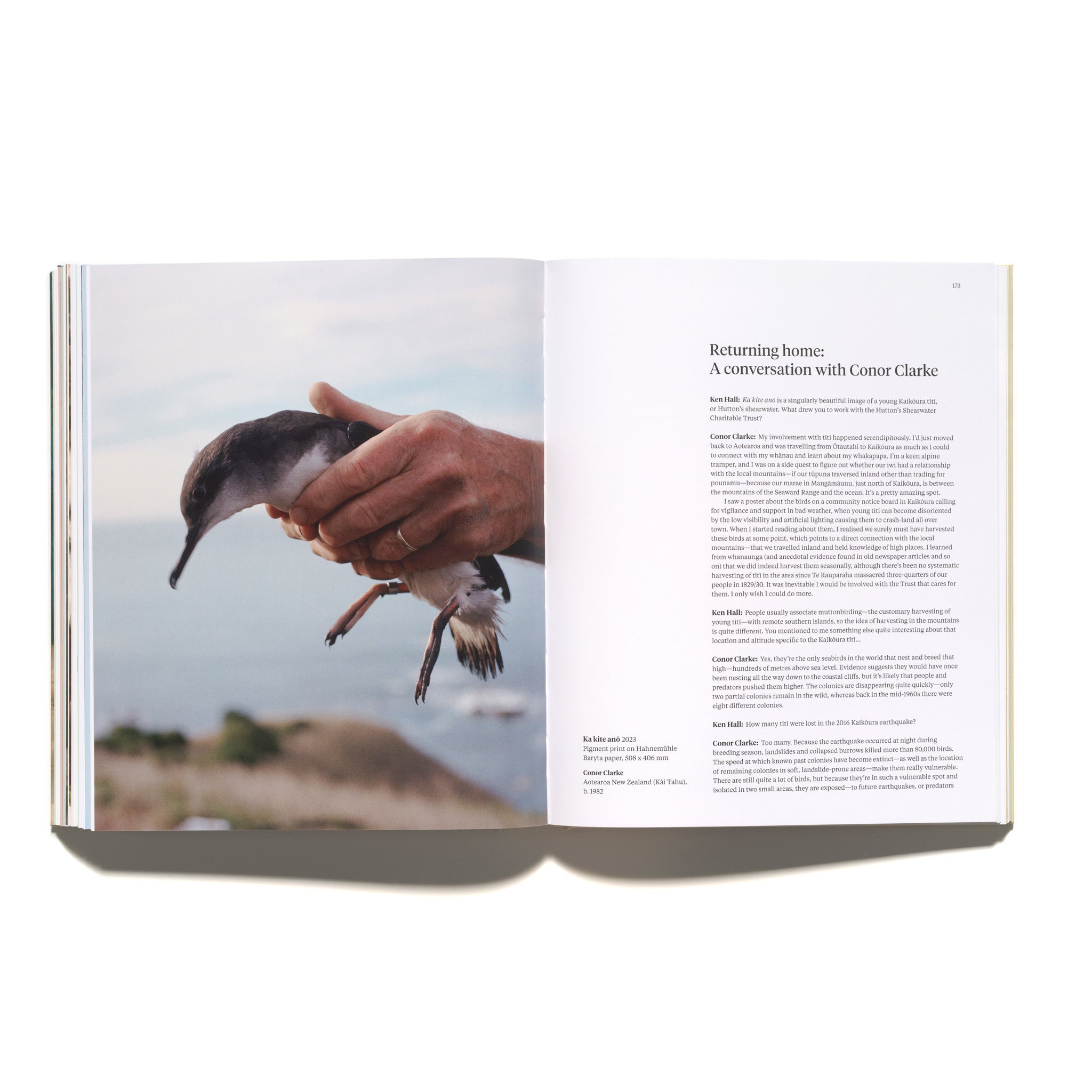 Bird Land: Te Kāhui Manu