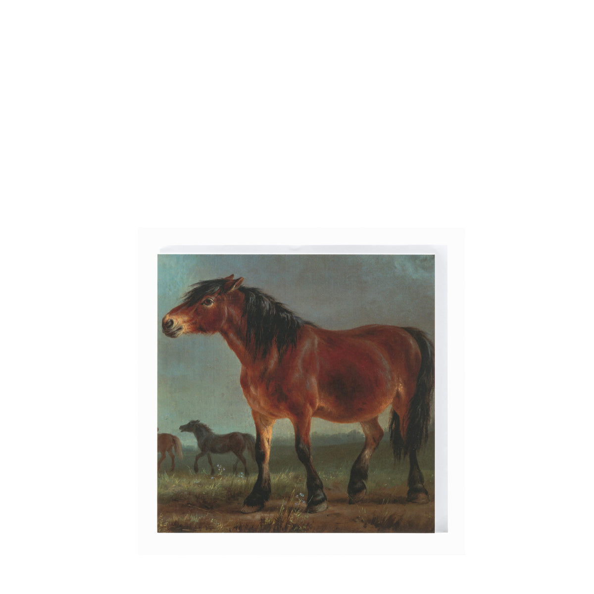 Balthazar Paul Ommeganck (attributed) "A Horse" Card