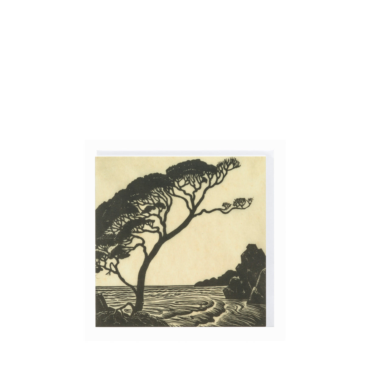 Roland Hipkins "East Cape" Card