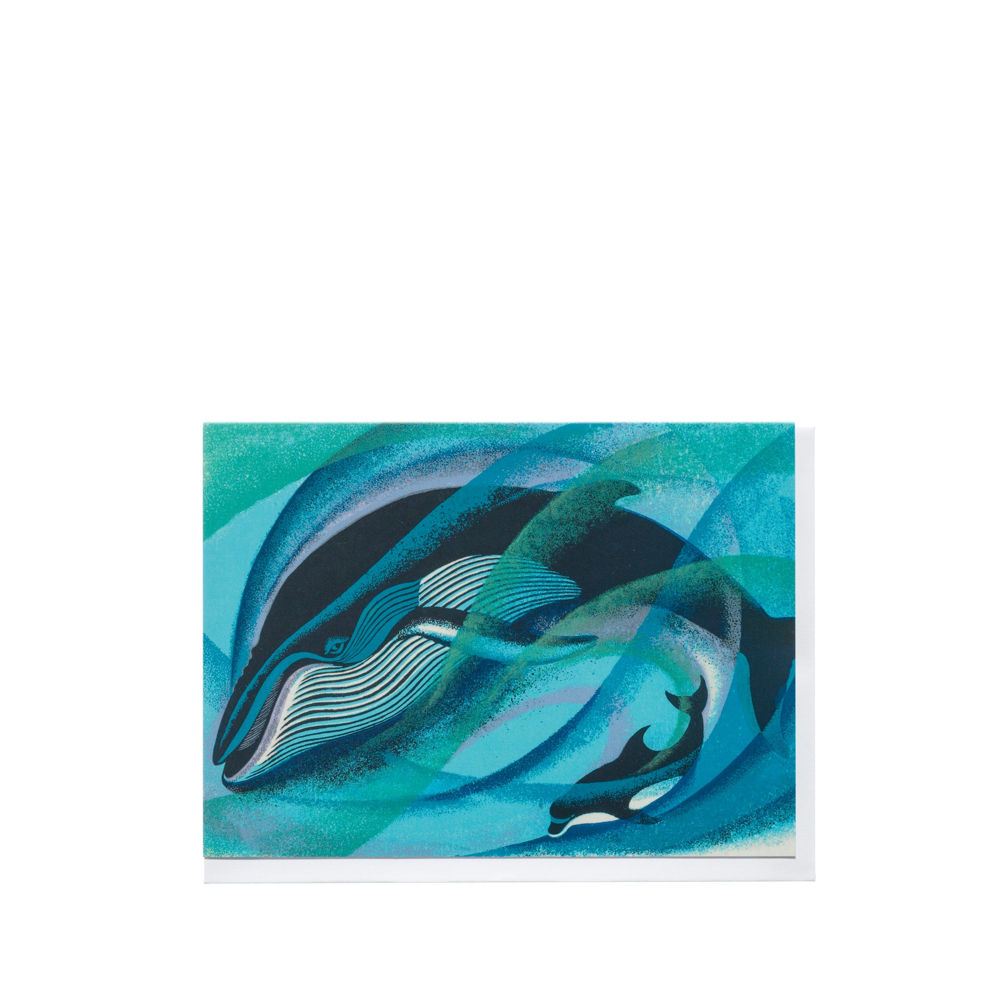 Eileen Mayo "Humpback and Bottlenose" Card