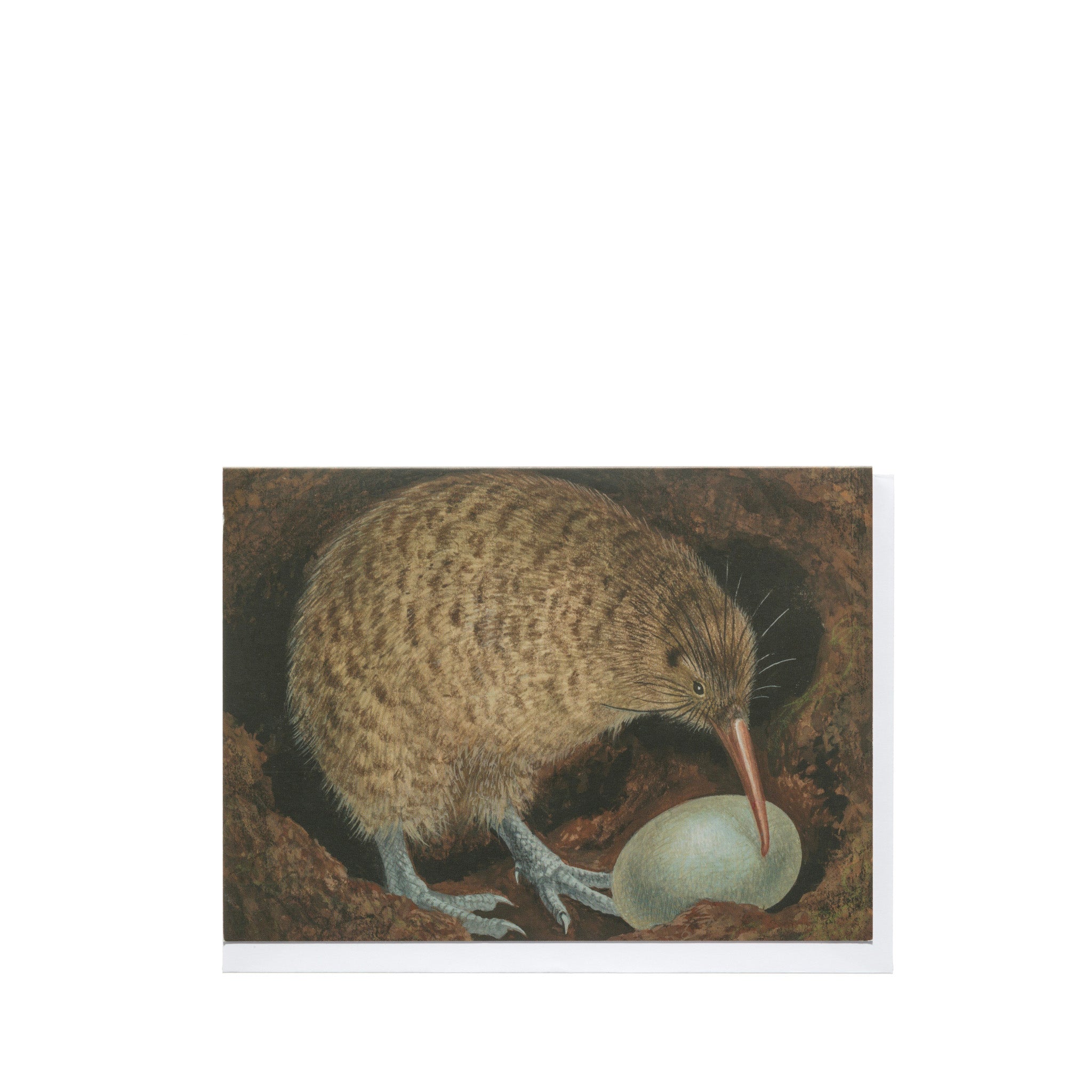 Eileen Mayo "Kiwi Pukupuku" Card