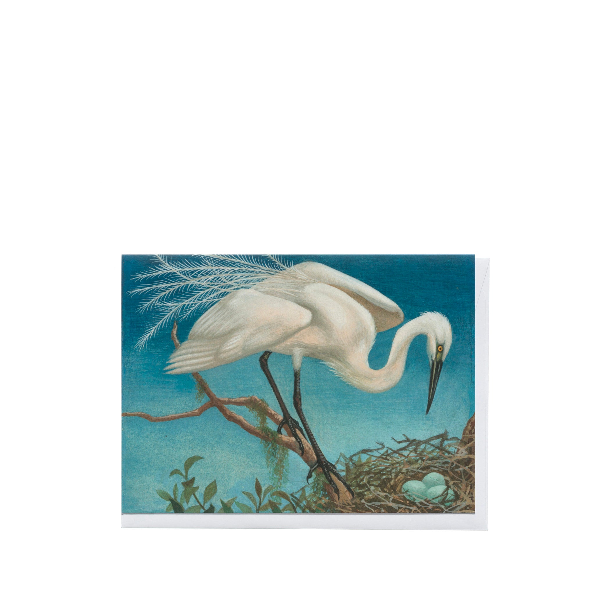 Eileen Mayo "Kōtuku" Card