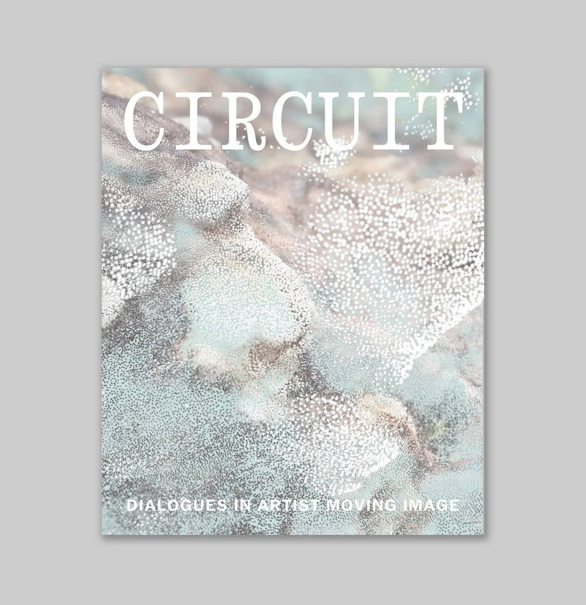 CIRCUIT: Dialogues in Artist Moving Image