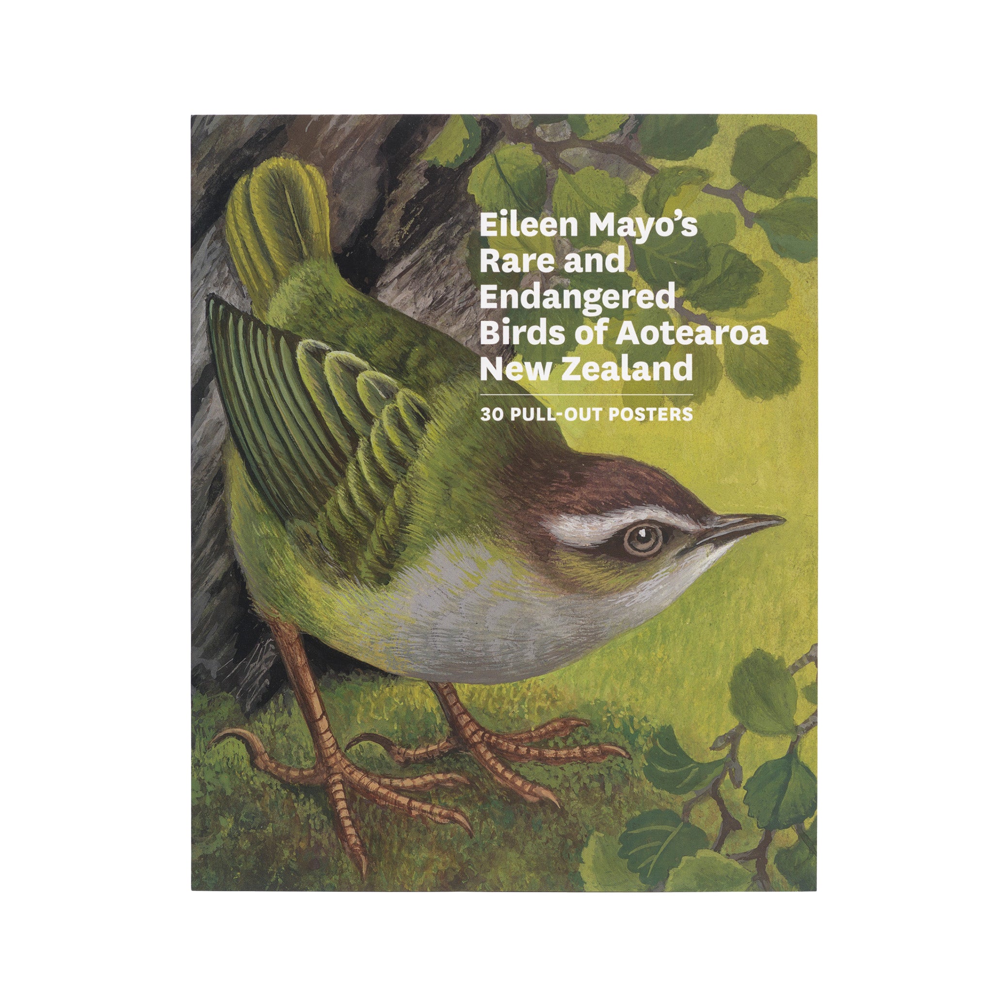 Eileen Mayo’s Rare and Endangered Birds of Aotearoa New Zealand—30 Pull-out Posters