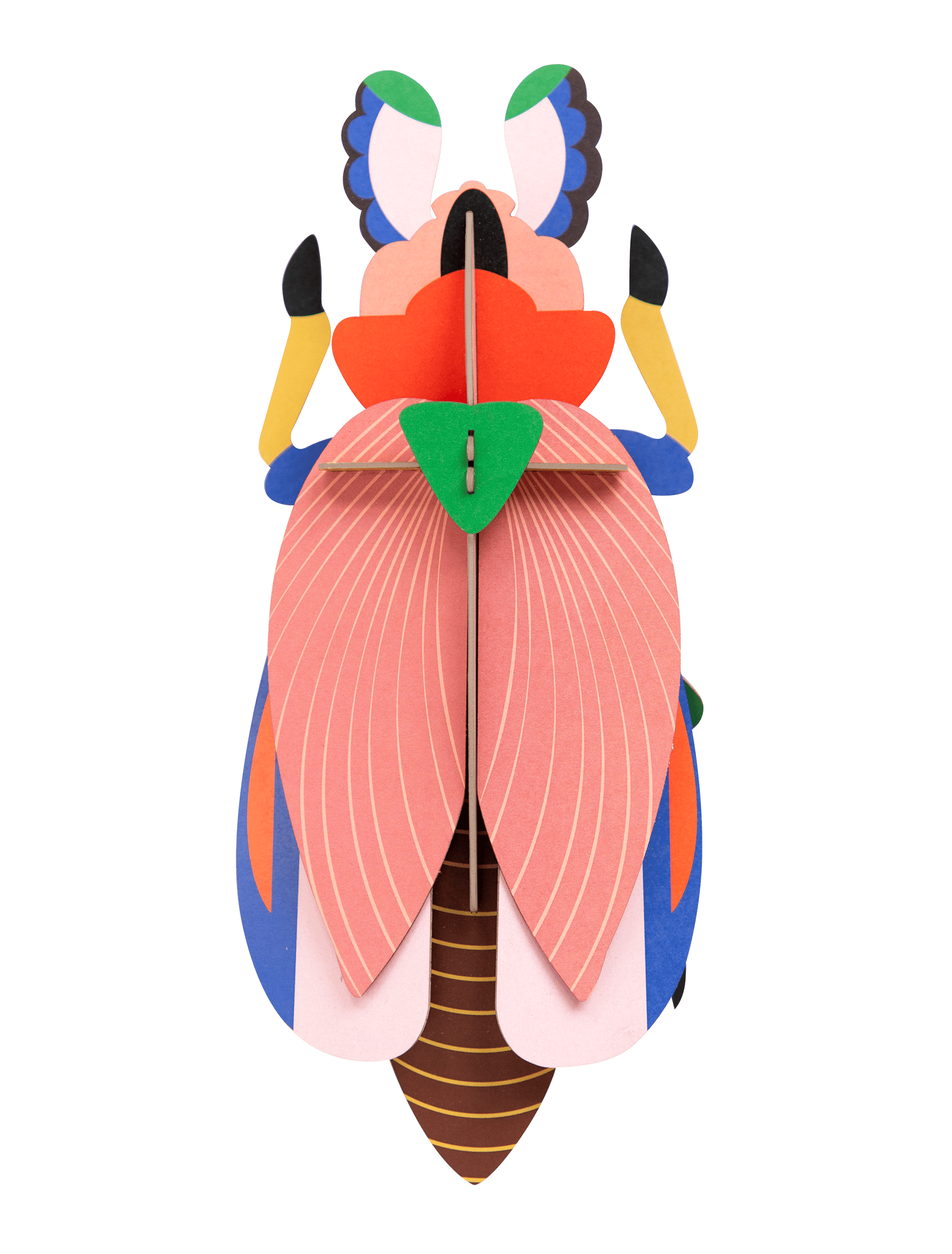 Giant Lady Beetle Wall Art