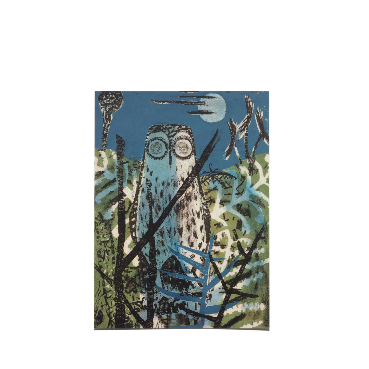 Juliet Peter "Morepork and Pungas" Postcard