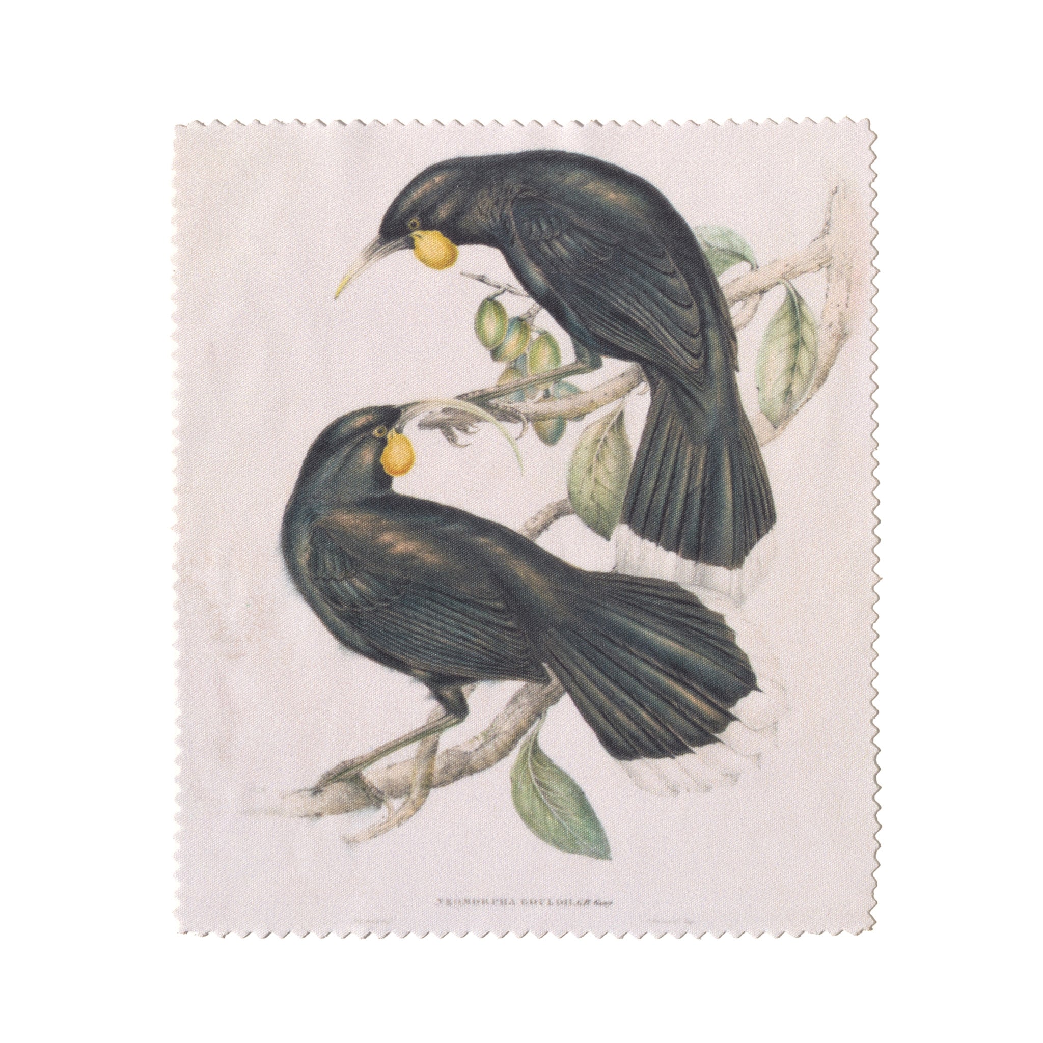 "Neomorpha Gouldii (The Huia)" Lens Cloth