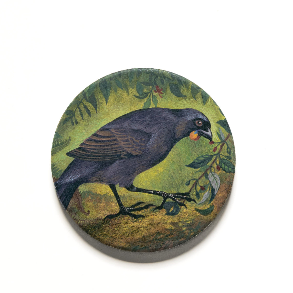 Eileen Mayo "South Island Kōkako" Ceramic Magnet