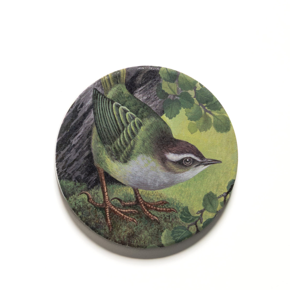 Eileen Mayo "Mātuhituhi / Bush Wren" Ceramic Magnet