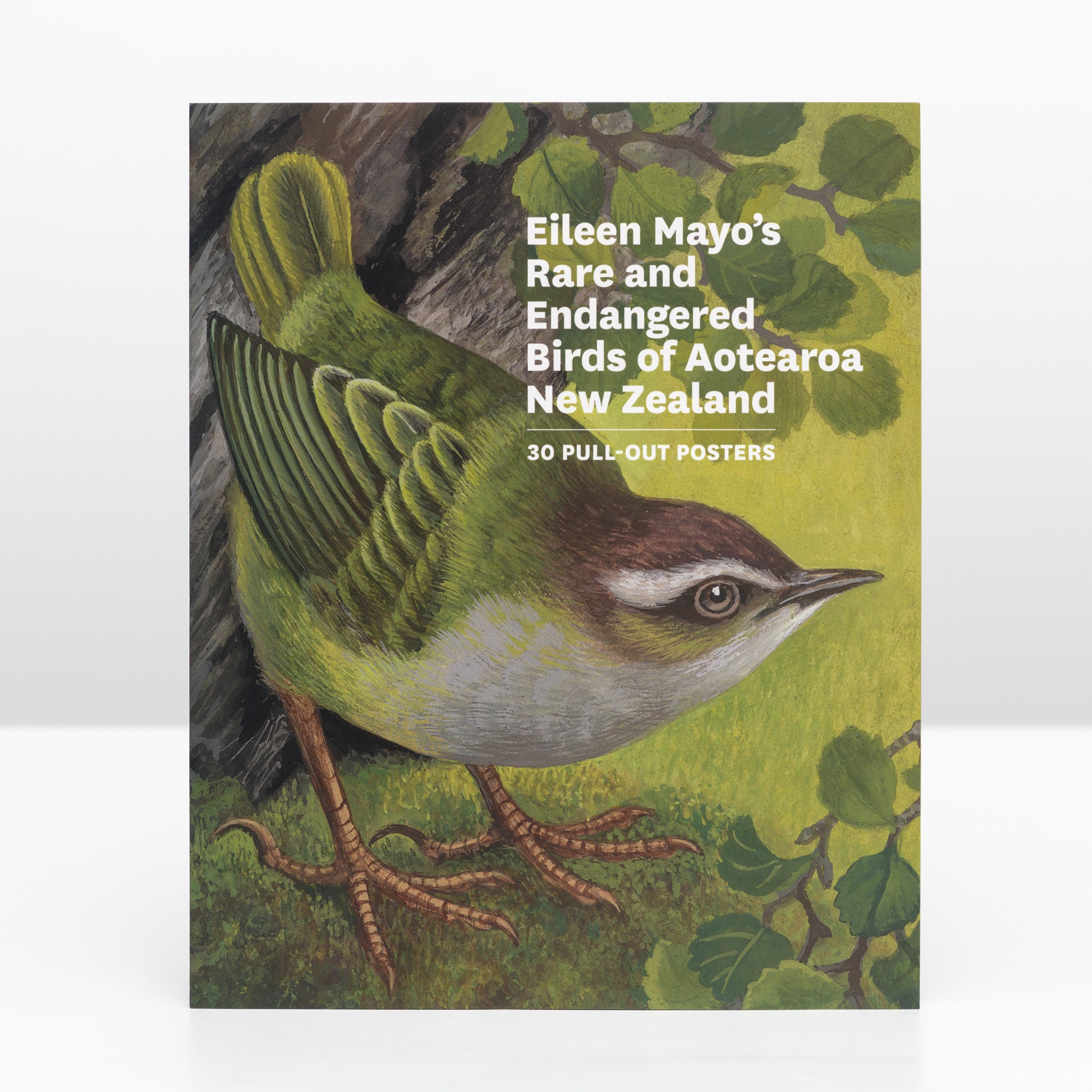 Eileen Mayo’s Rare and Endangered Birds of Aotearoa New Zealand—30 Pull-out Posters