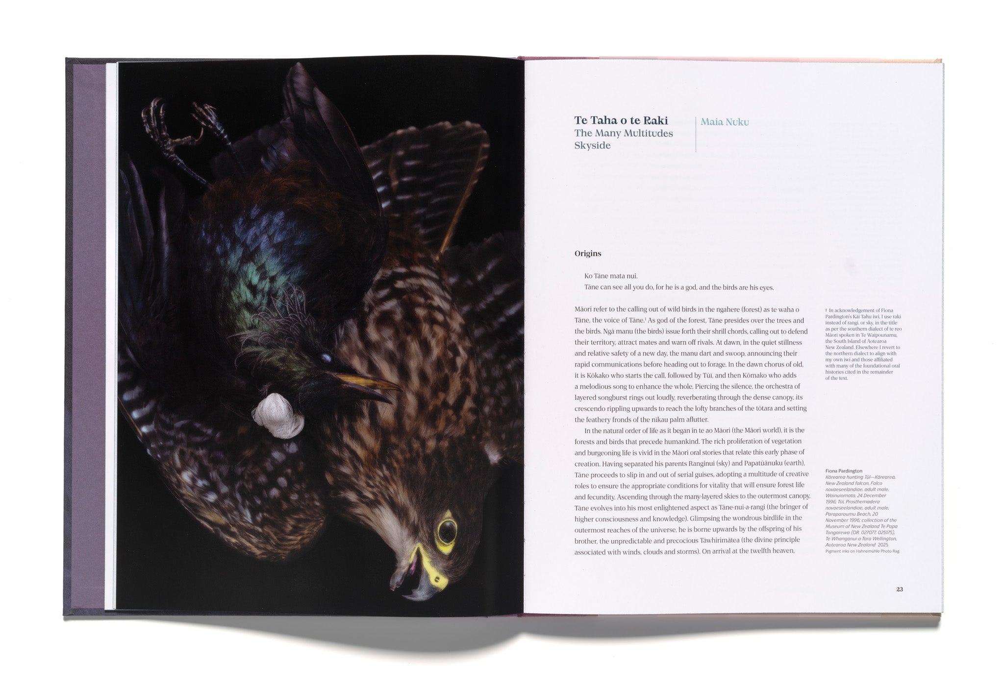 Fiona Pardington: Taharaki Skyside