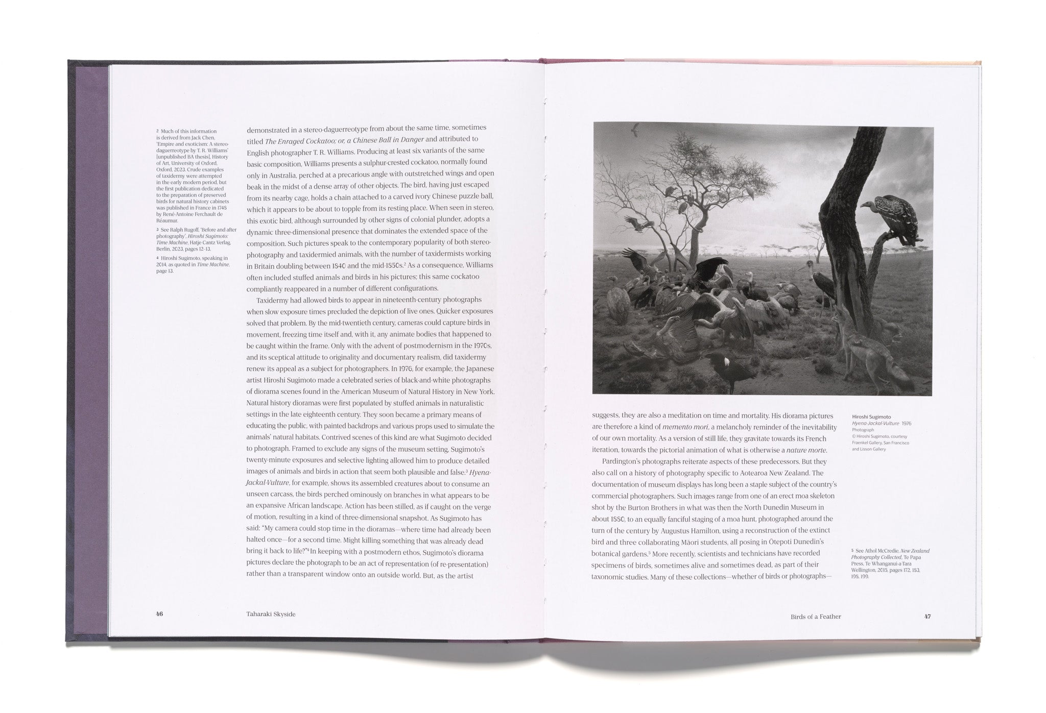 Fiona Pardington: Taharaki Skyside