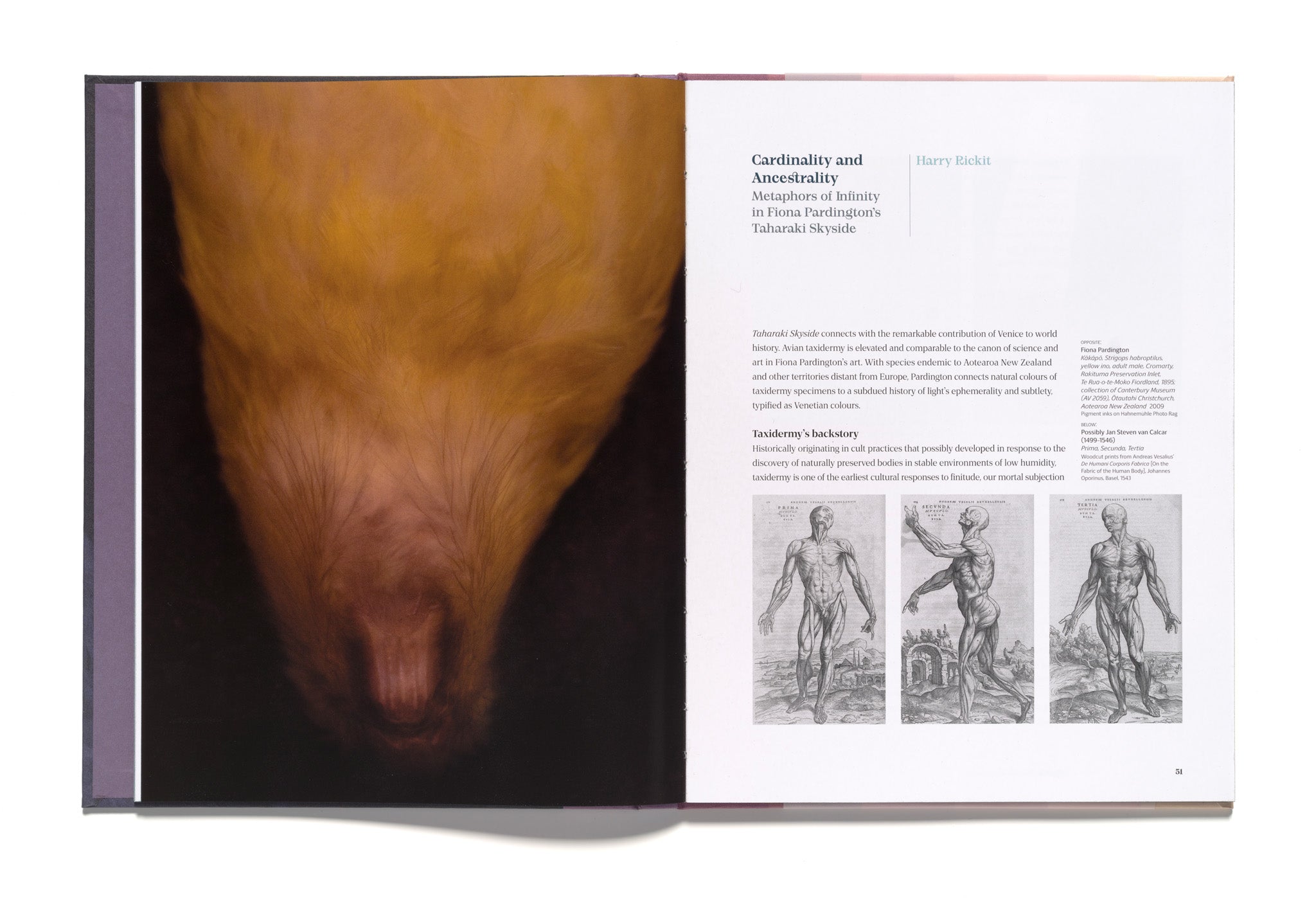 Fiona Pardington: Taharaki Skyside