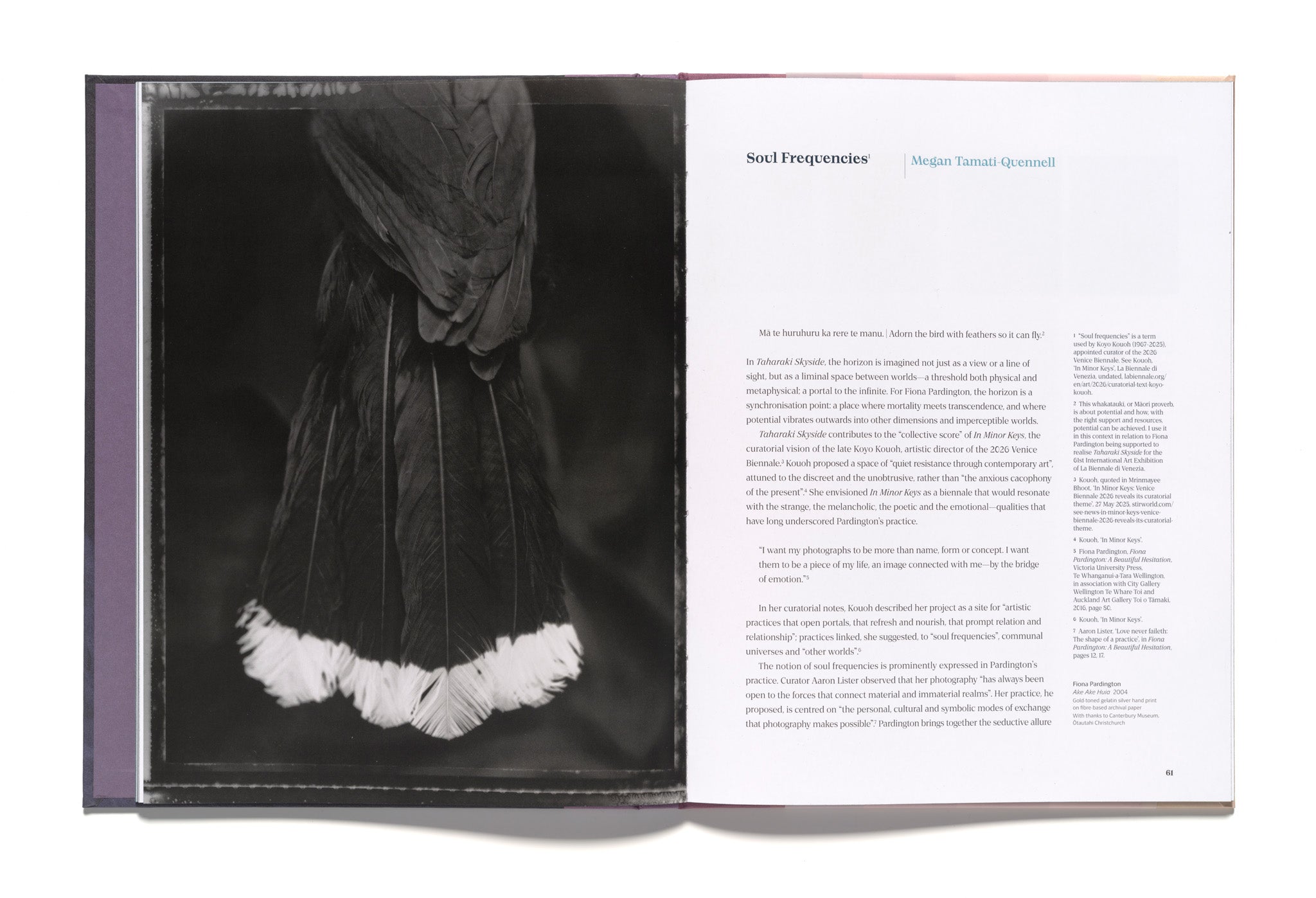 Fiona Pardington: Taharaki Skyside