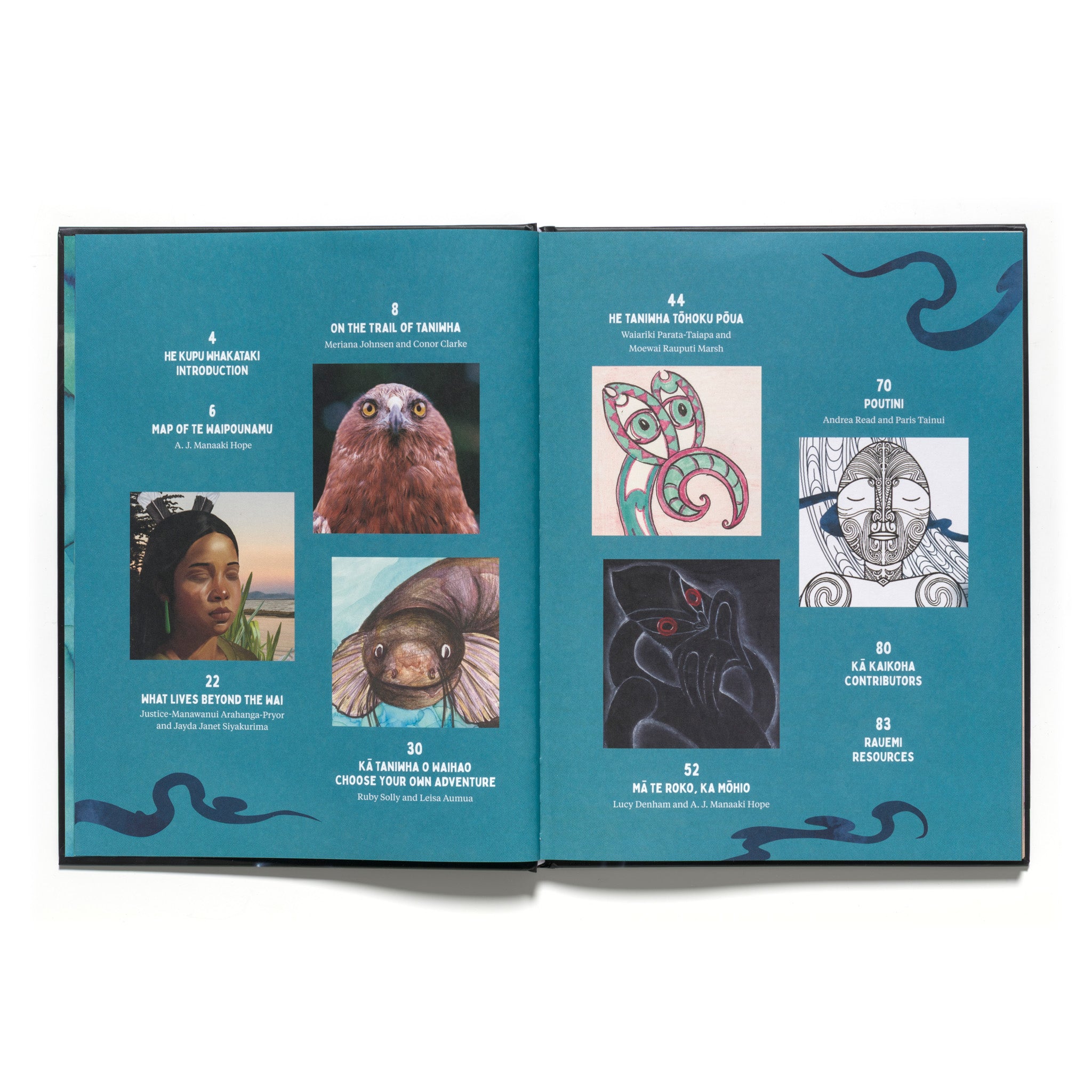 Whāia Te Taniwha