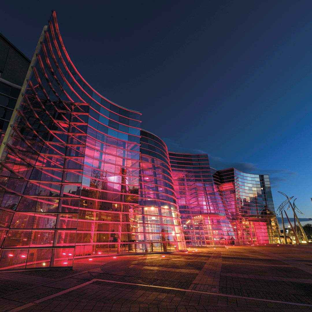 Donation to Christchurch Art Gallery Te Puna o Waiwhetū