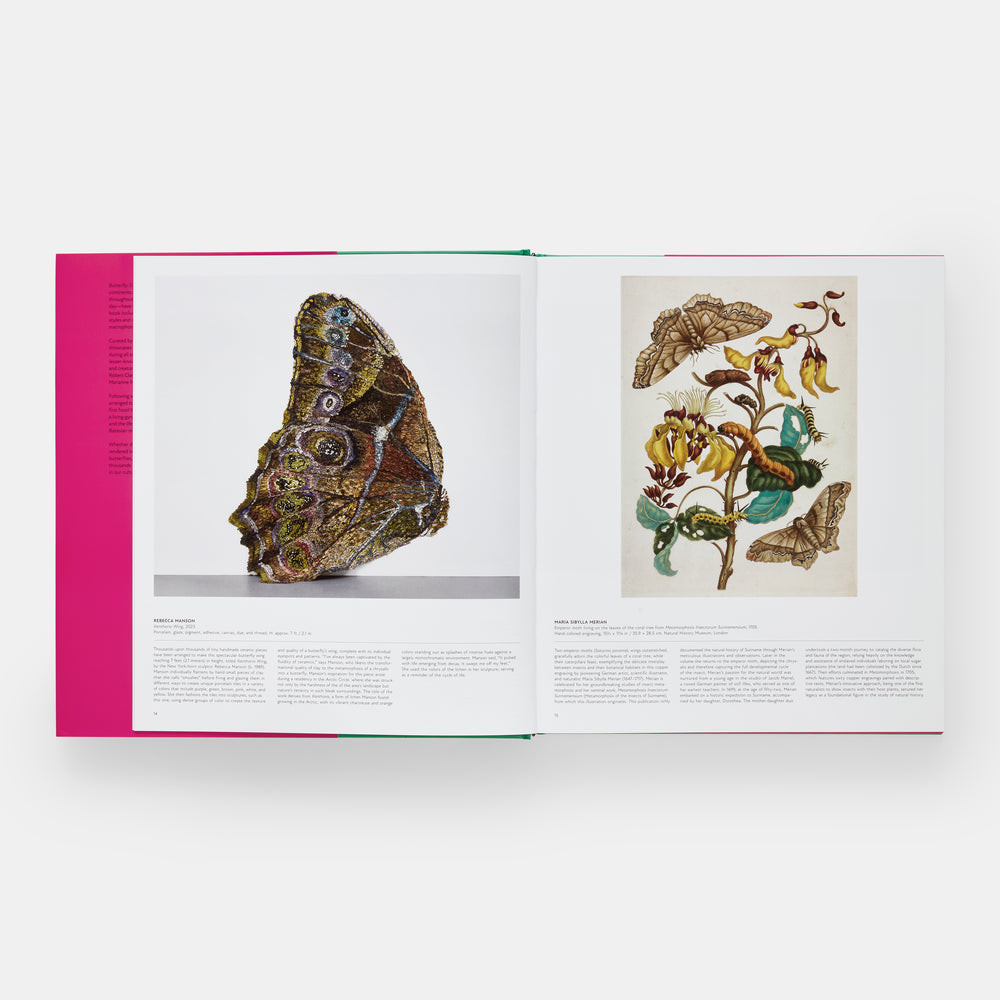 Butterfly: Exploring the World of Lepidoptera
