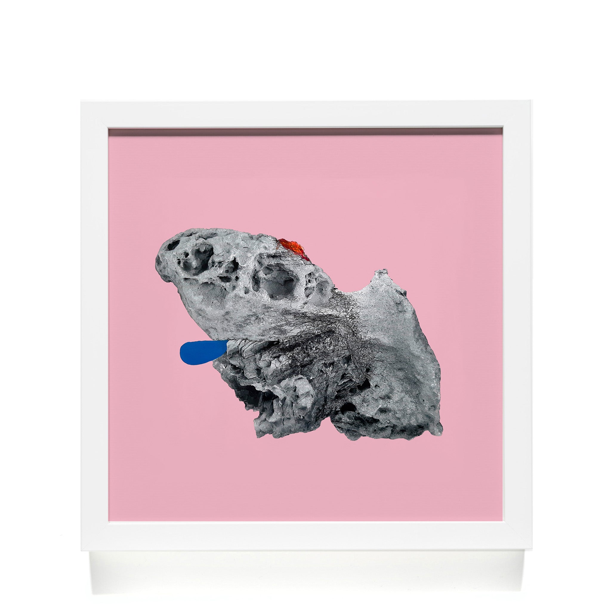 EDWARDS+JOHANN - "Concretions-Pink" Framed Print