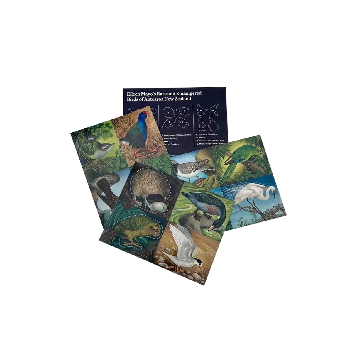 Eileen Mayo "Rare and Endangered Birds" Sticker Pack