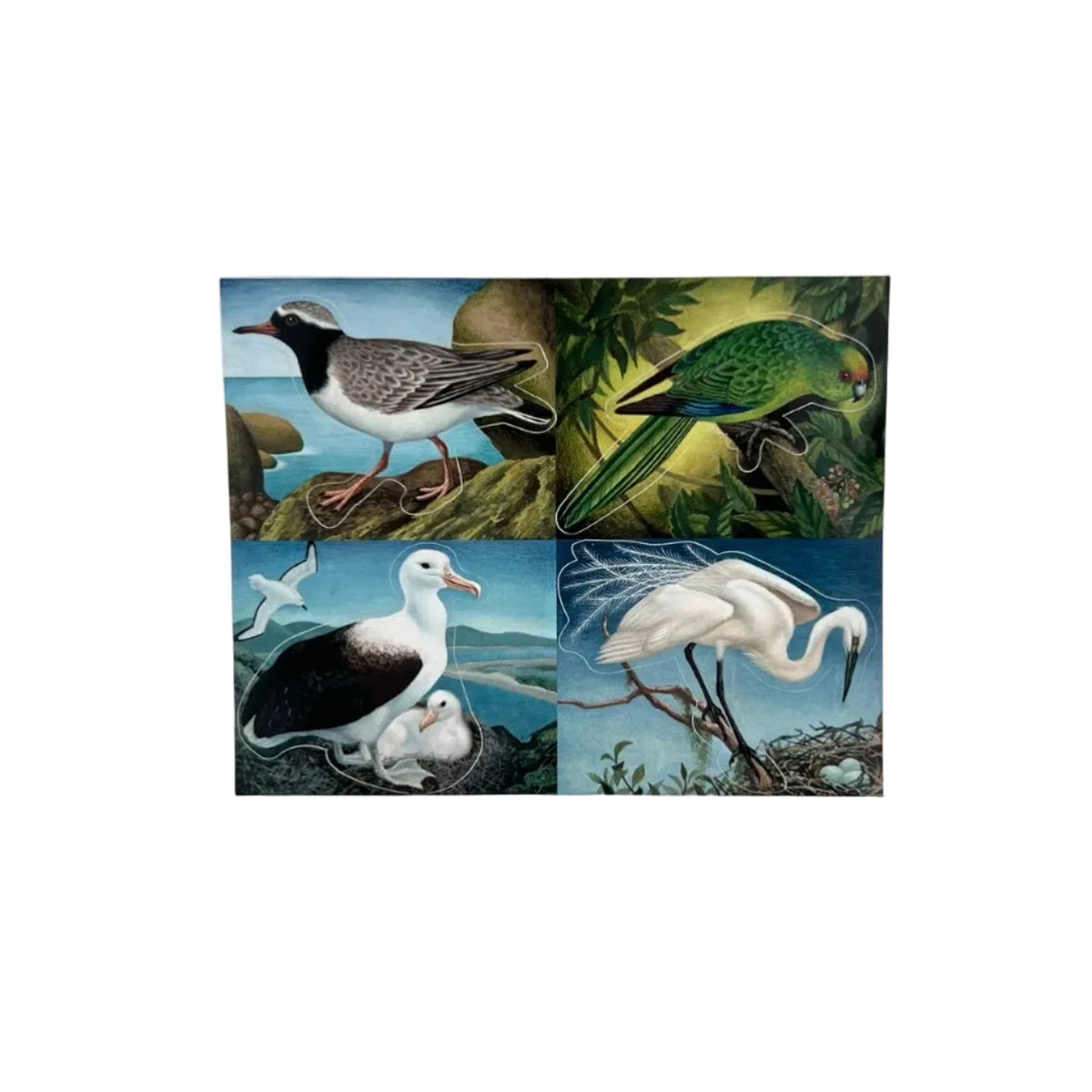 Eileen Mayo "Rare and Endangered Birds" Sticker Pack