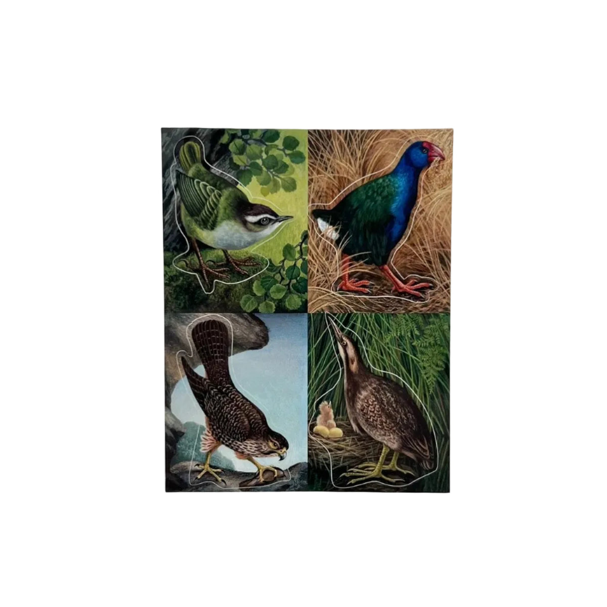 Eileen Mayo "Rare and Endangered Birds" Sticker Pack