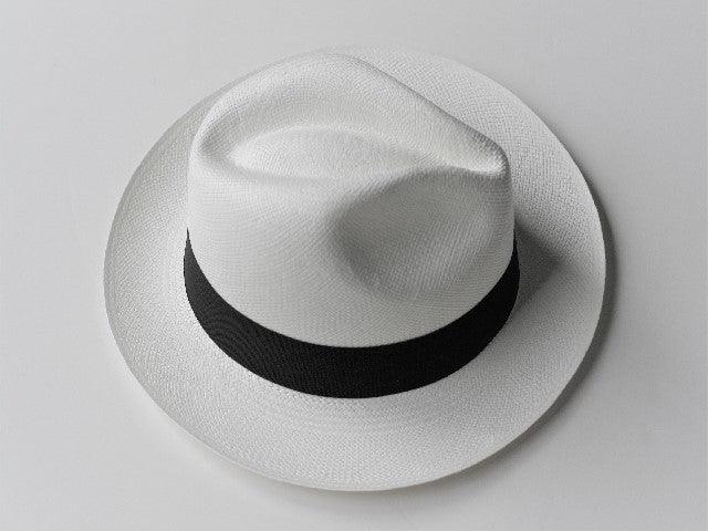 Panama Hat 
Ivory Fedora
