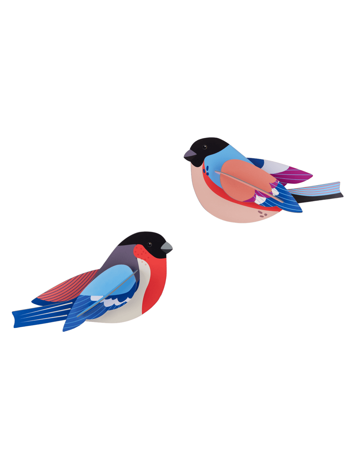 Finches Wall Art