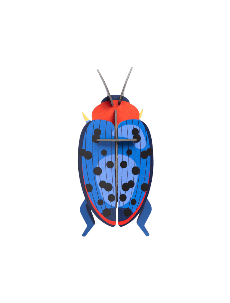 Fungus Beetle Wall Decoration