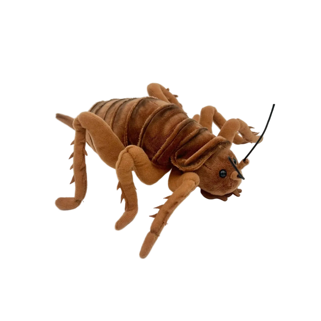 Giant Wētā Plushie