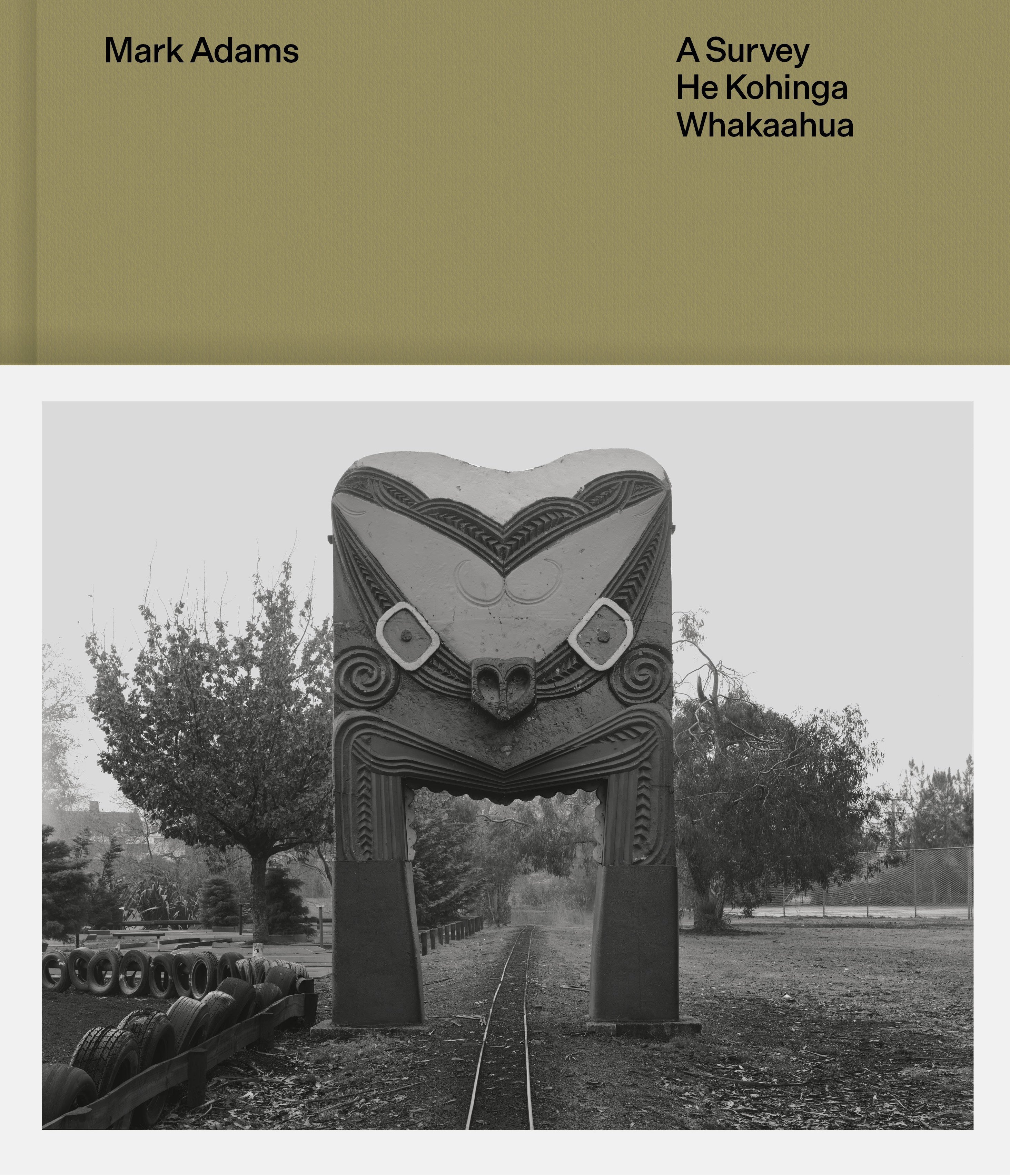 Mark Adams: A survey — He kohinga whakaahua