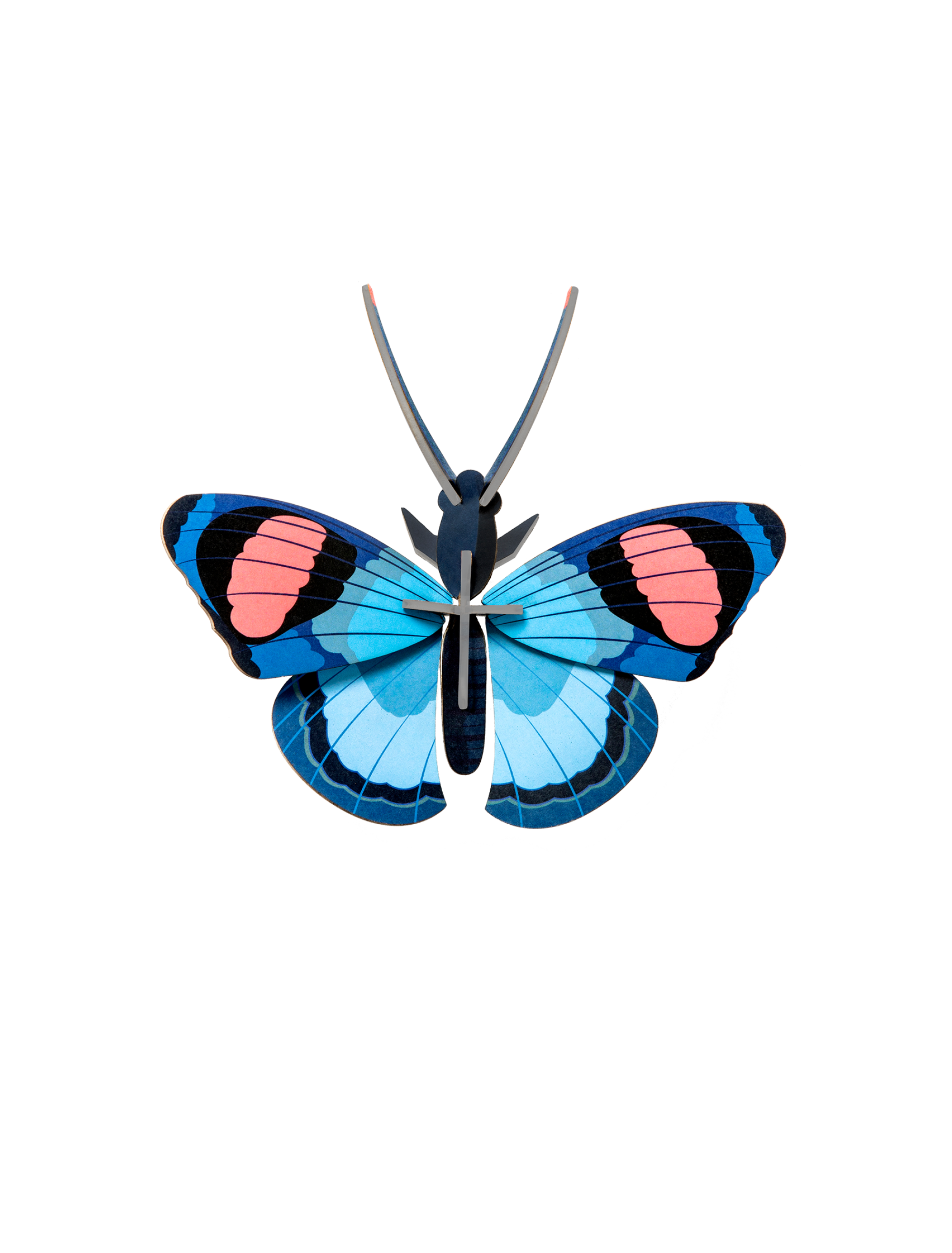 Peacock Butterfly Wall Art