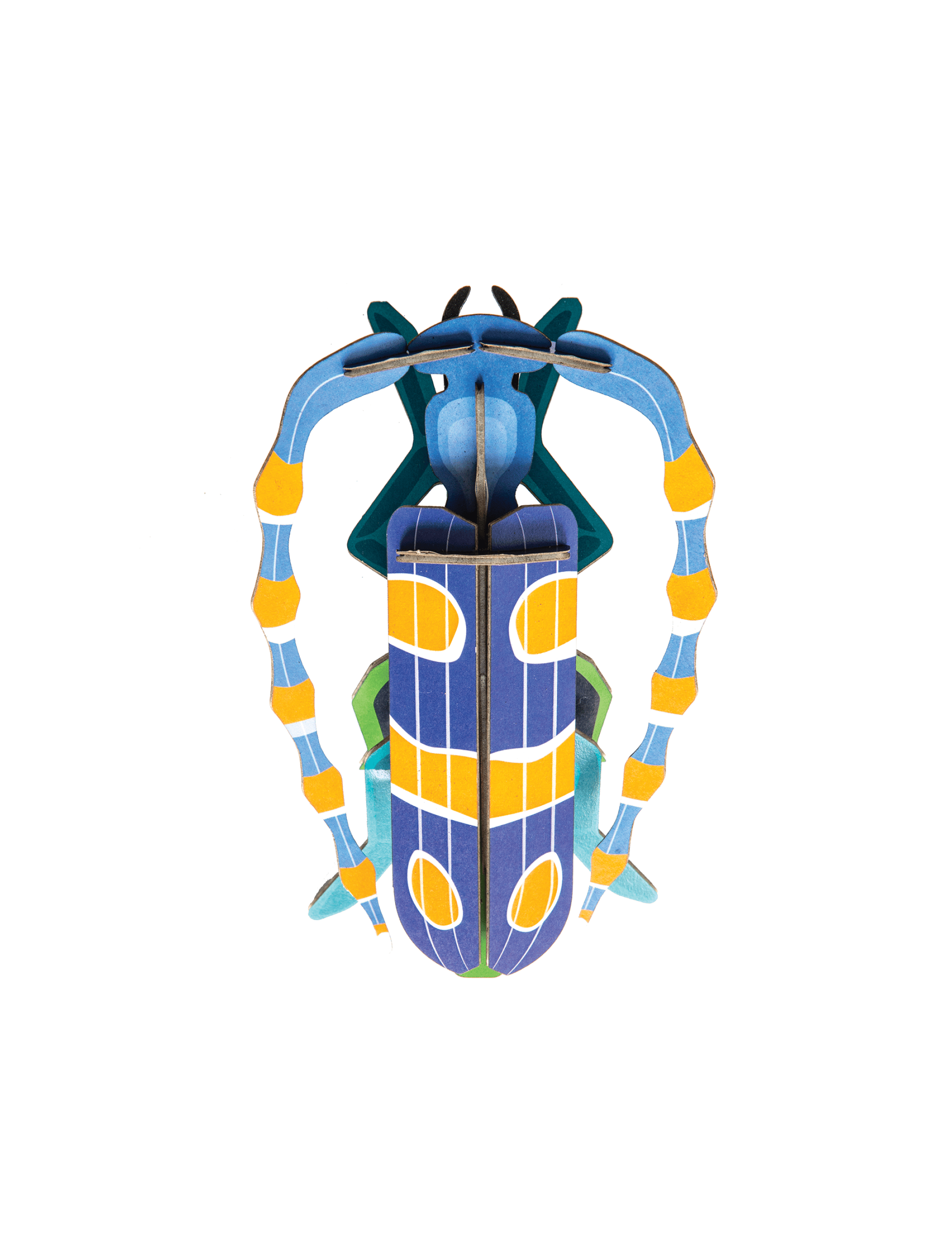 Rosalia Beetle Wall Art